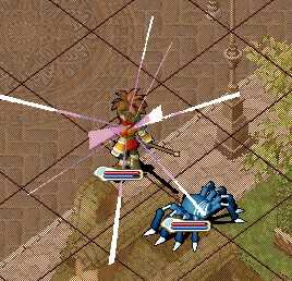06073.jpg